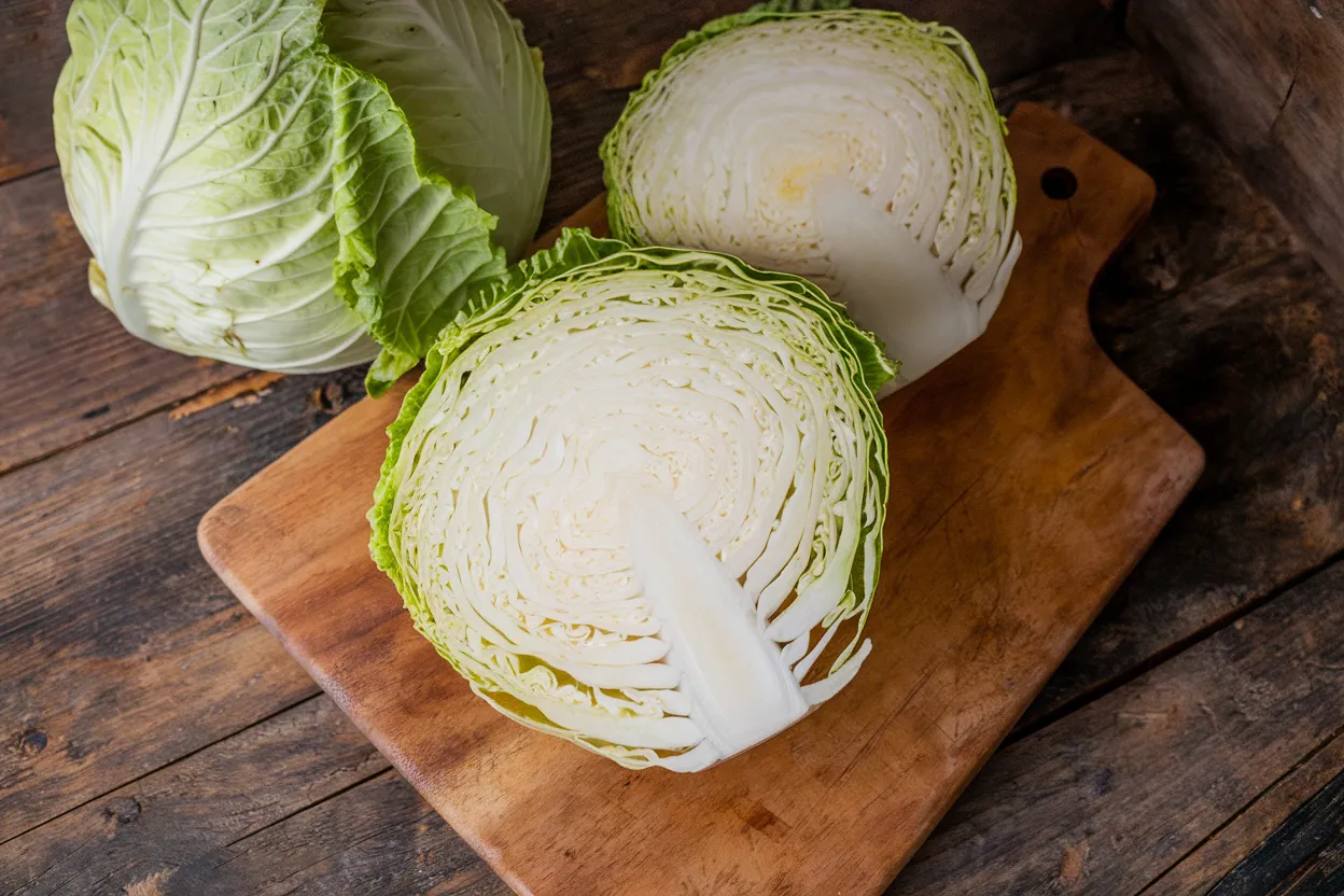 Organic Bronco cabbage seeds ideal for growing vibrant, healthy cabbages in home gardens