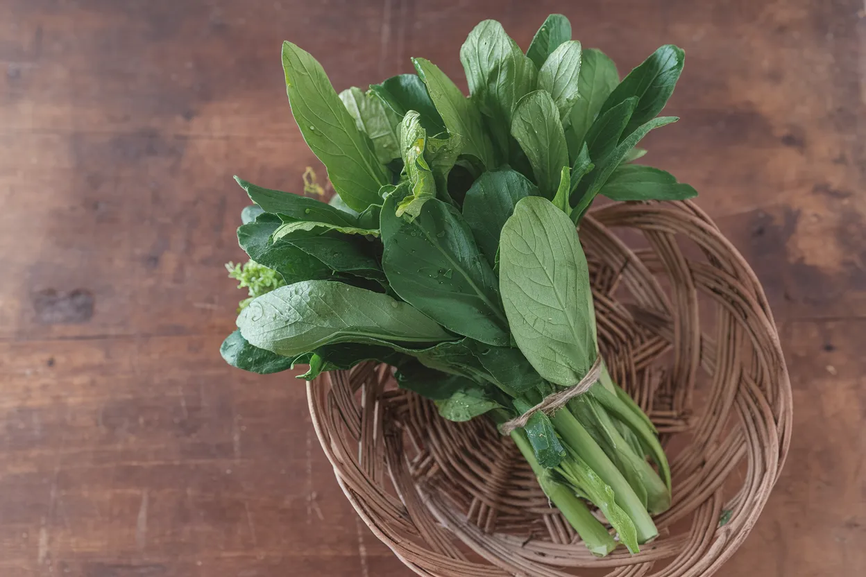 Organic Asian green seeds, ideal for enhancing garden health and productivity