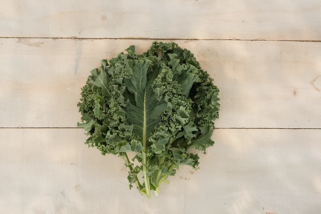 Organic F1 Kale seeds suitable for high yield farming, ideal for sustainable agriculture