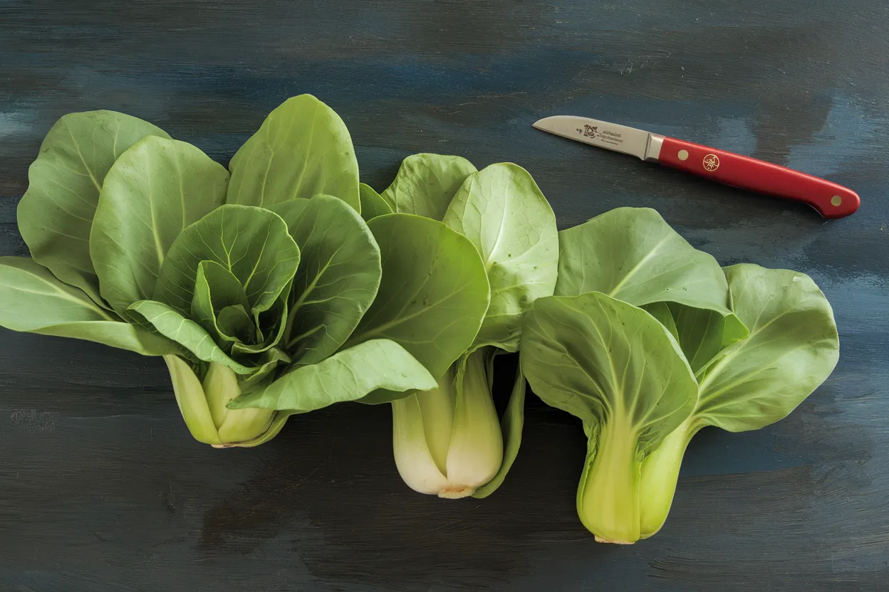 Organic Mei Qing Choi seeds, perfect for growing nutritious green vegetables