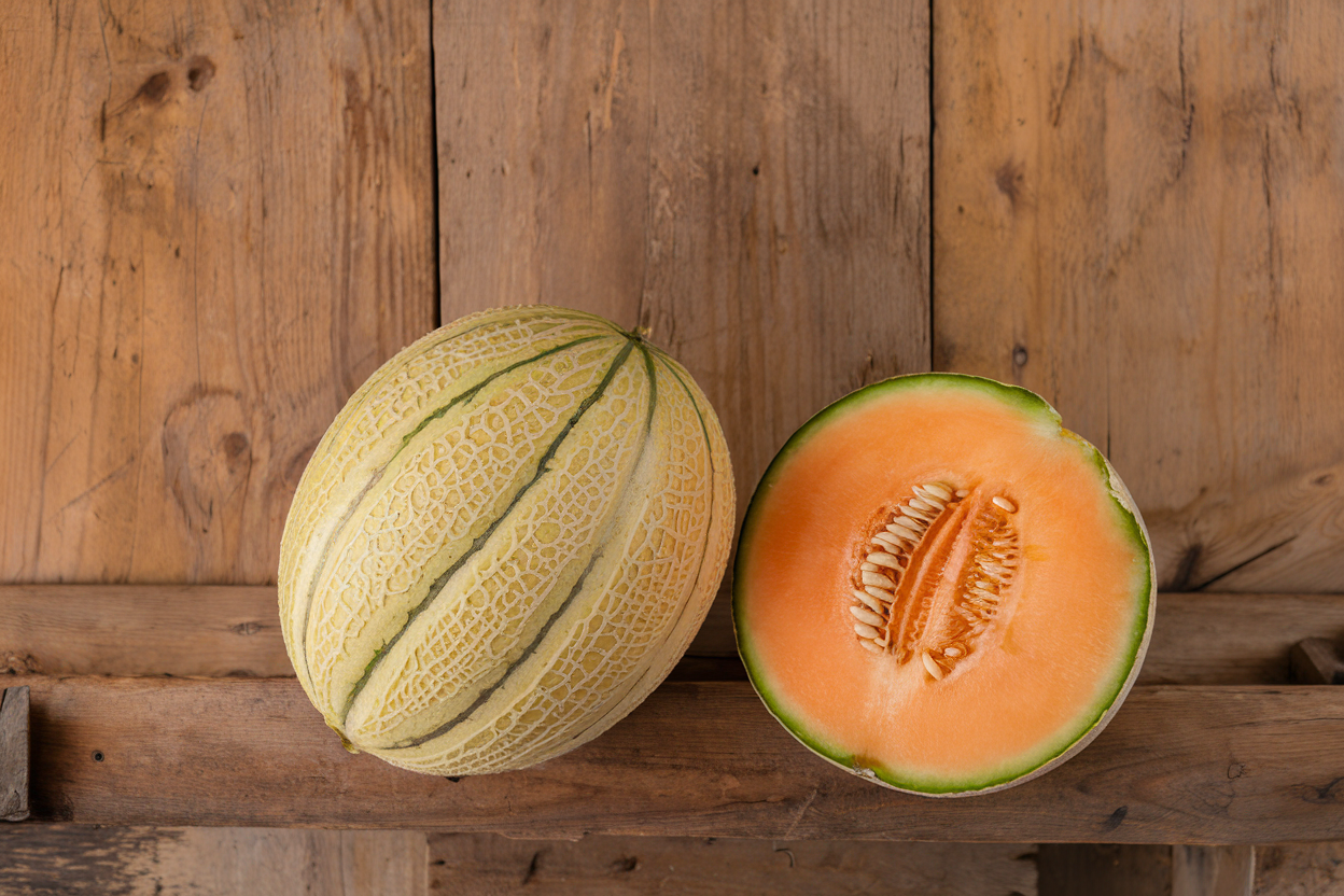 Organic Milan F1 melon seeds, perfect for producing sweet, large melons