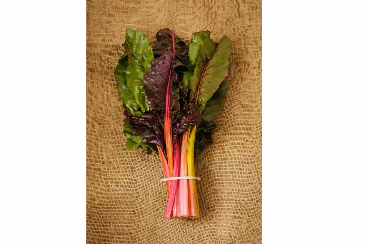 Organic Swiss Chard Seeds, perfect for adding vibrant color to home gardens
