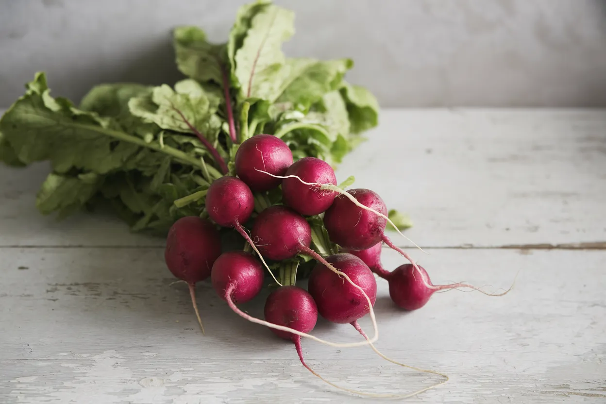 Premium quality Bacchus radish seeds, ideal for enhancing organic vegetable gardens