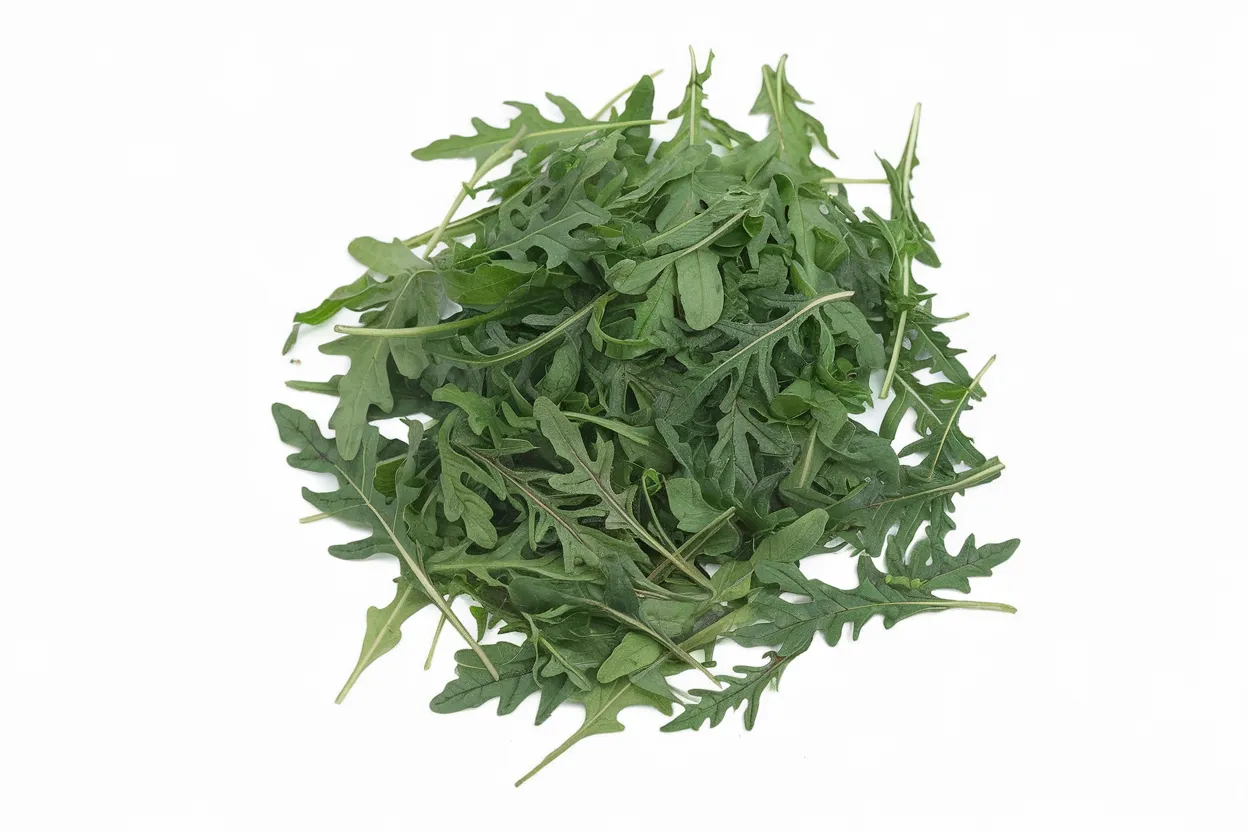 Organic wild arugula seed, ideal for growing fresh, spicy salad greens at home