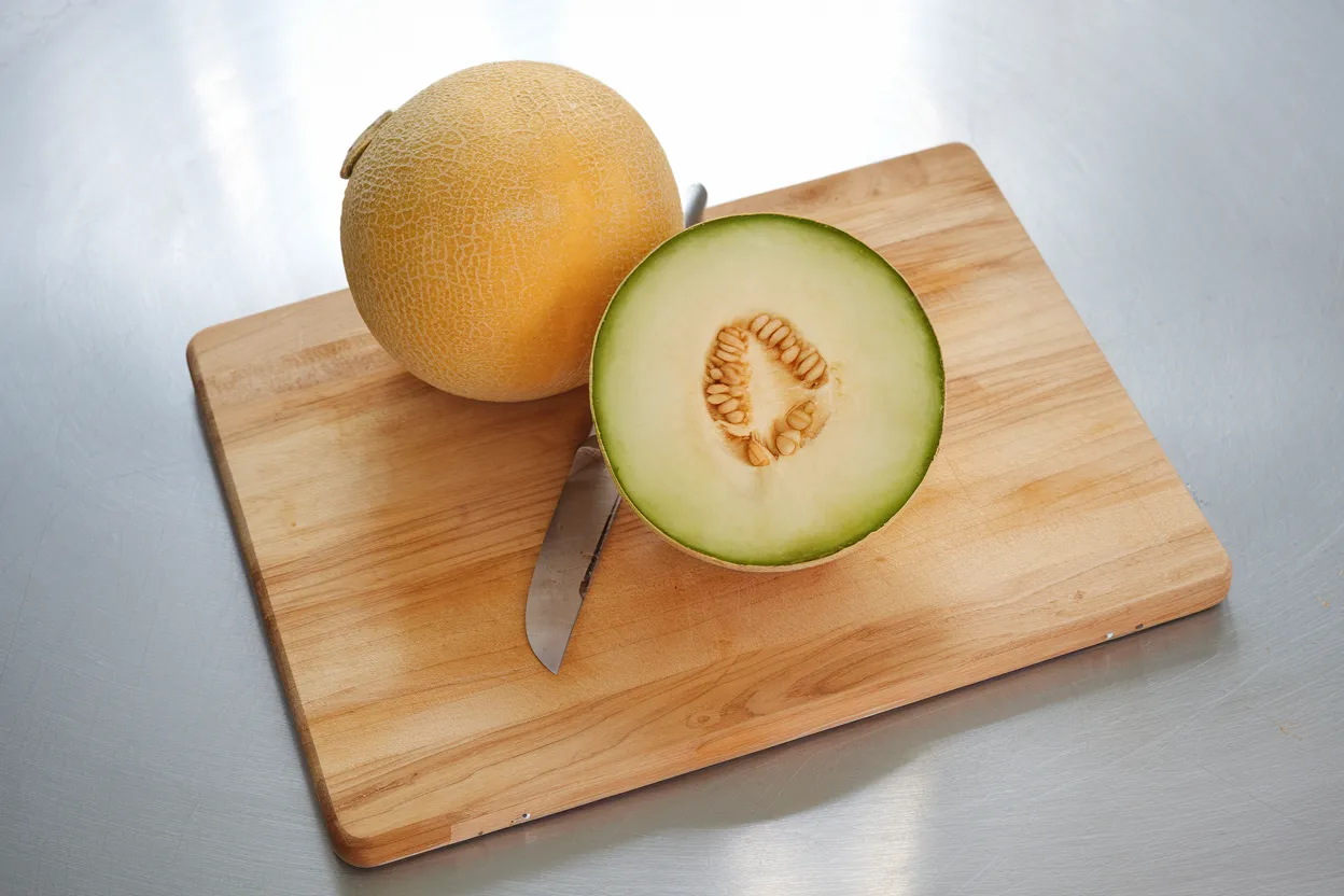 Organic Diplomat F1 melon seeds, perfect for eco-friendly gardening and robust crop yields