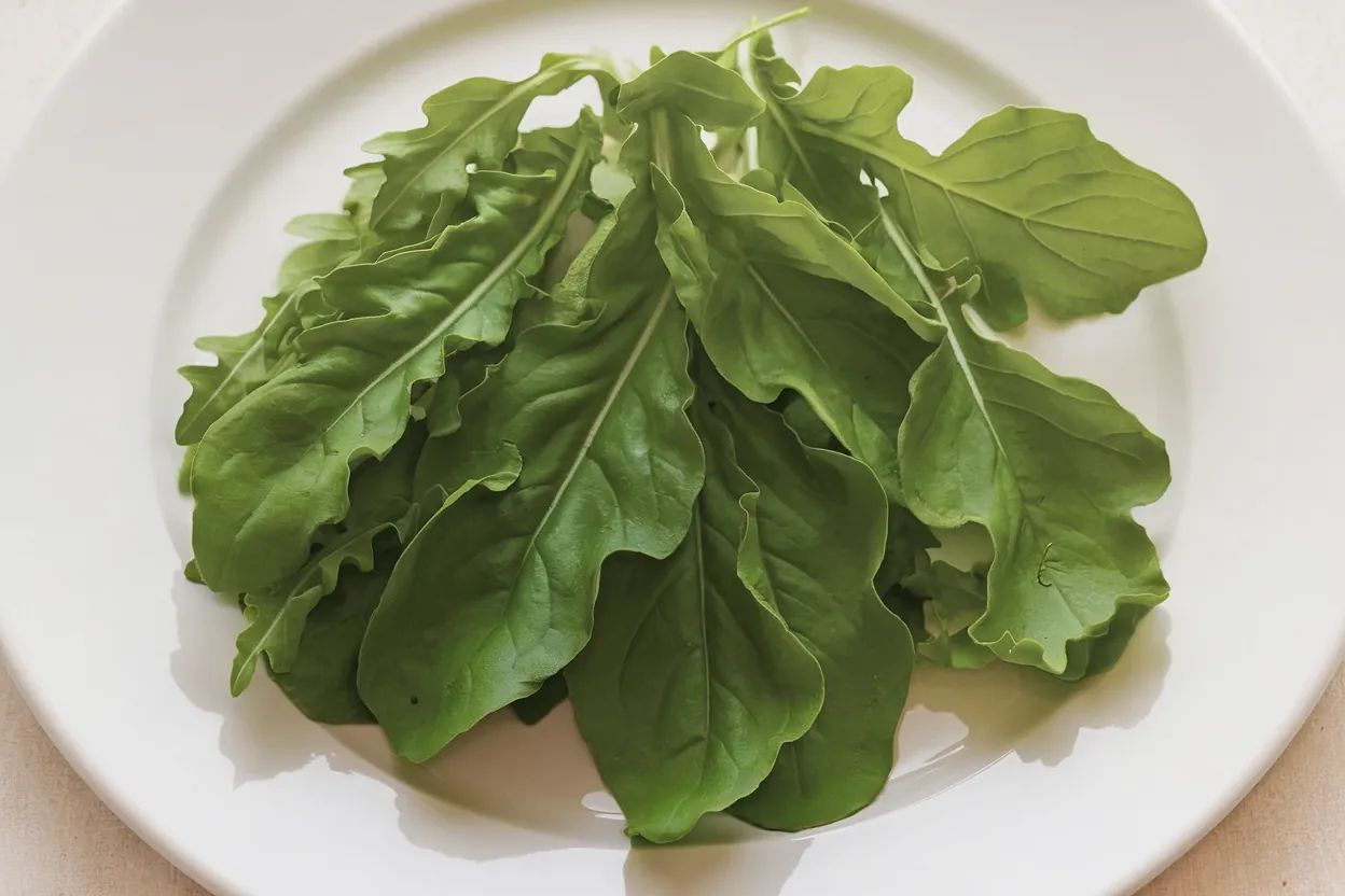 Organic arugula seeds, ideal for growing fresh, healthy salad greens at home