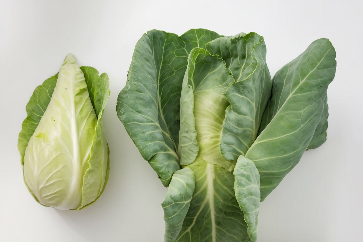 Caraflex cabbage seeds ideal for organic vegetable gardens, ensuring healthy growth