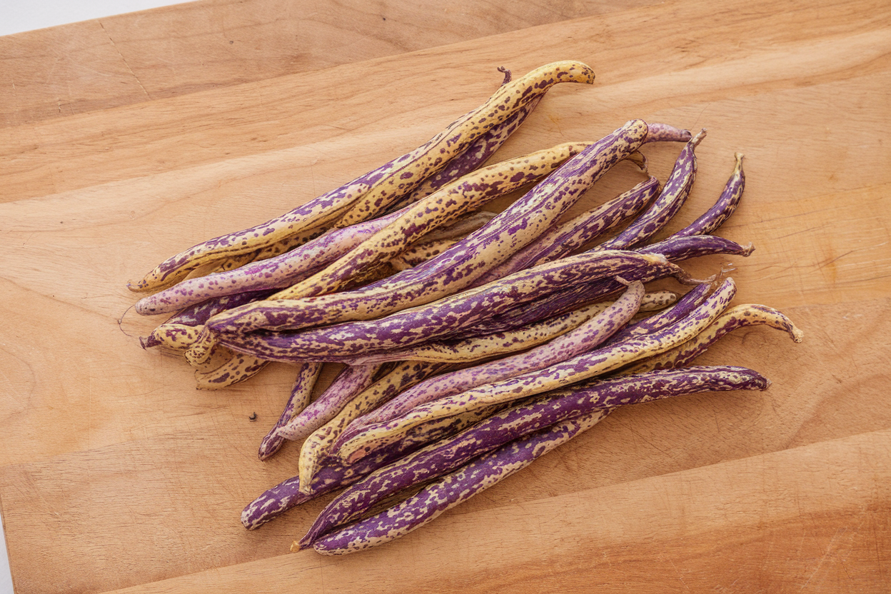 Organic Dragon's Tongue bean seeds, ideal for home garden enthusiasts and heirloom vegetable growers