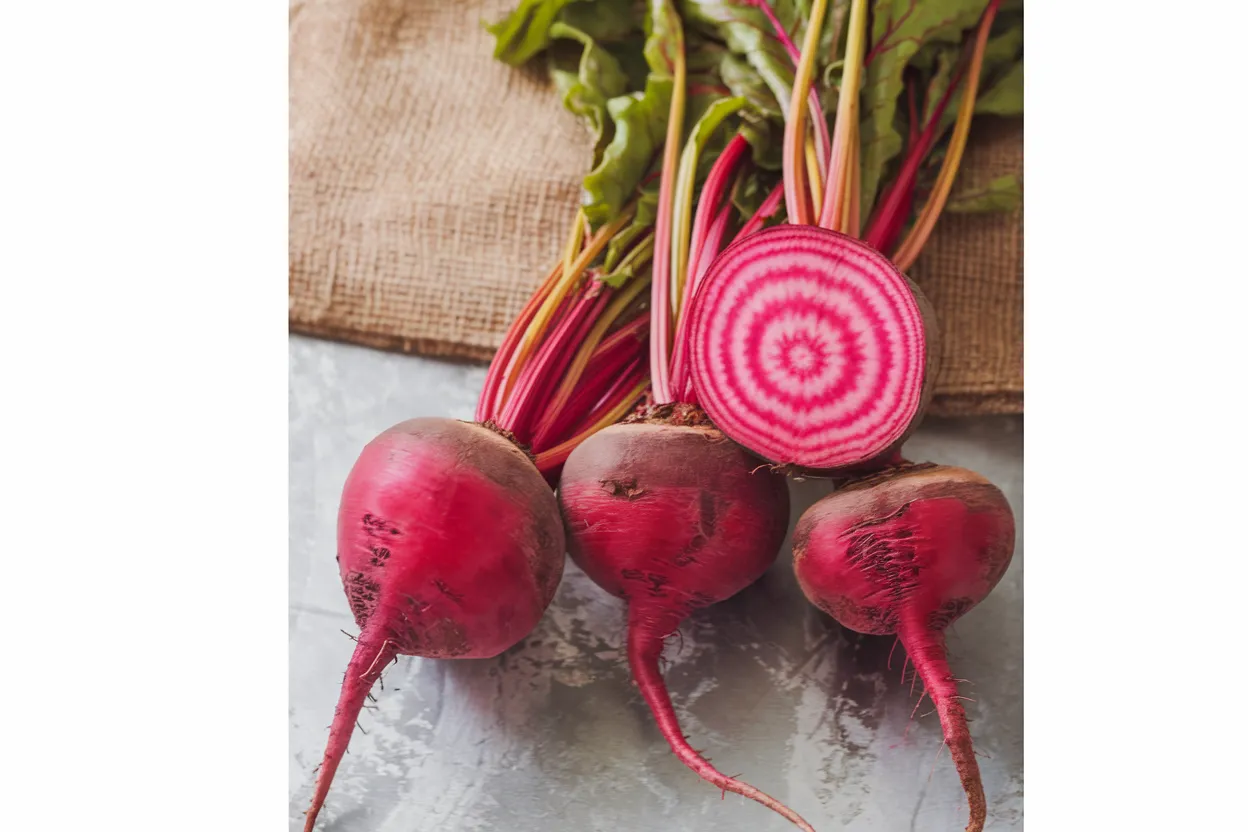 Organic Chioggia Guardsmark beet seeds, perfect for cultivating nutrient-rich beets in home gardens.