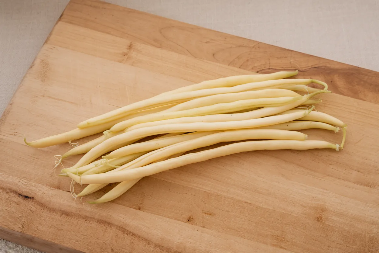 Organic Monte Gusto bean seeds, ideal for cultivating nutritious beans at home or in community gardens