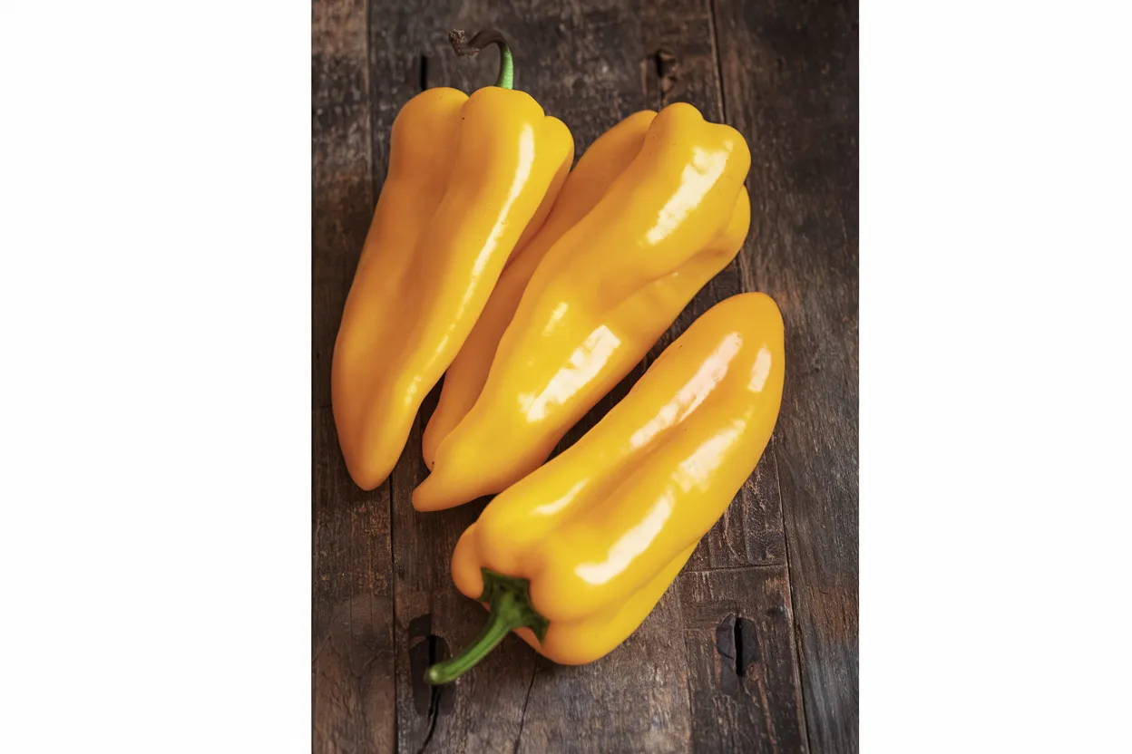 Organic Corno di Toro Pepper Seed, ideal for healthy home gardening