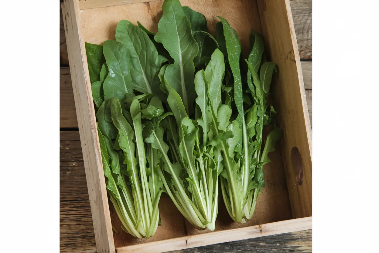 Organic Italian Dandelion seeds ideal for growing fresh, healthy greens in home gardens