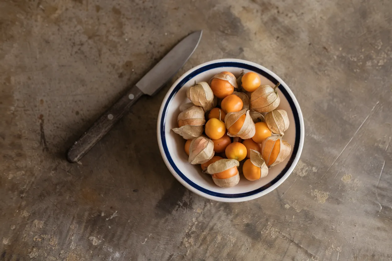 Organic Husk Cherry Seed, ideal for cultivating in home garden settings