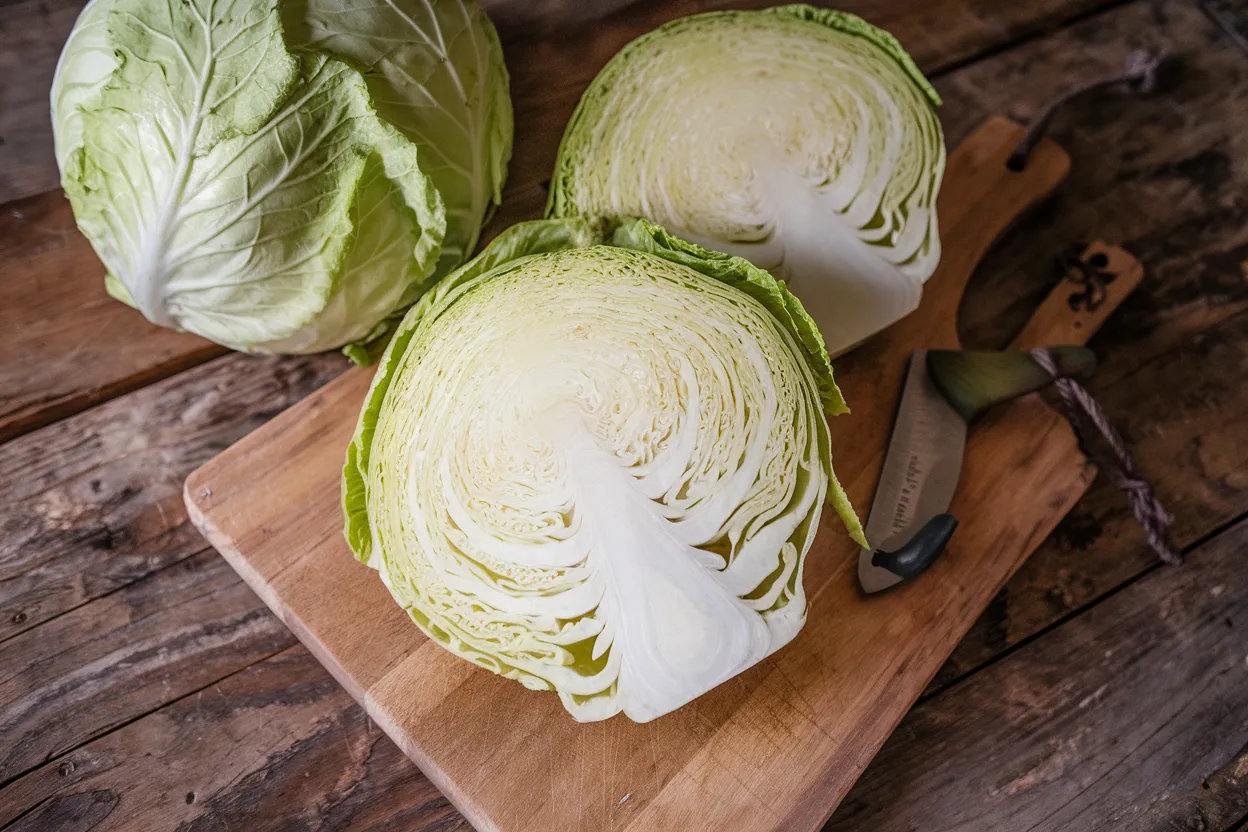 Organic F1 cabbage seeds, ideal for cultivating robust and healthy home gardens