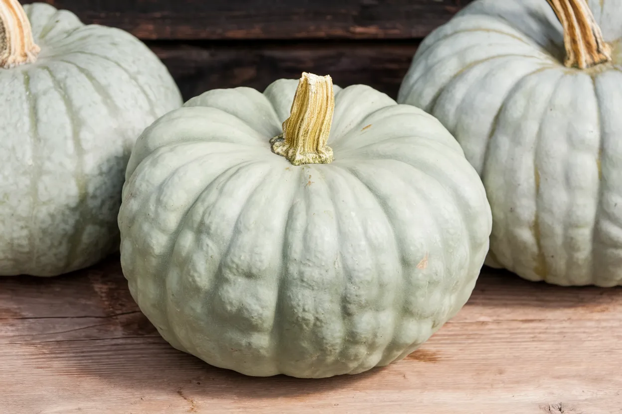 Organic Jarrahdale pumpkin seeds, perfect for nutritious recipes and baking
