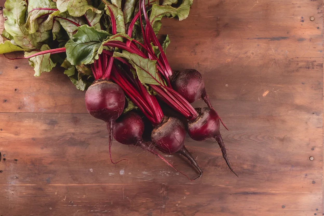 High-quality organic Moneta beet seeds, ideal for growing in home gardens, enhancing soil health