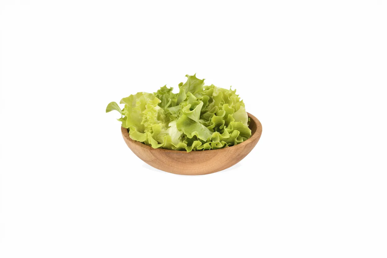 Organic Green Saladbowl Lettuce Seed, ideal for growing fresh, nutritious salads at home