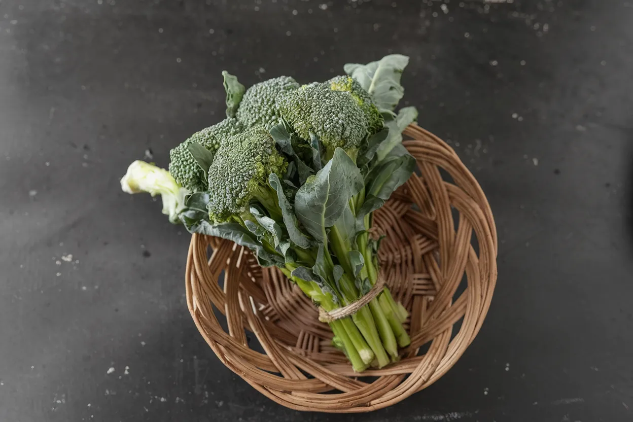 Organic broccoli seeds, perfect for cultivating robust and nutritious broccoli for healthy meals