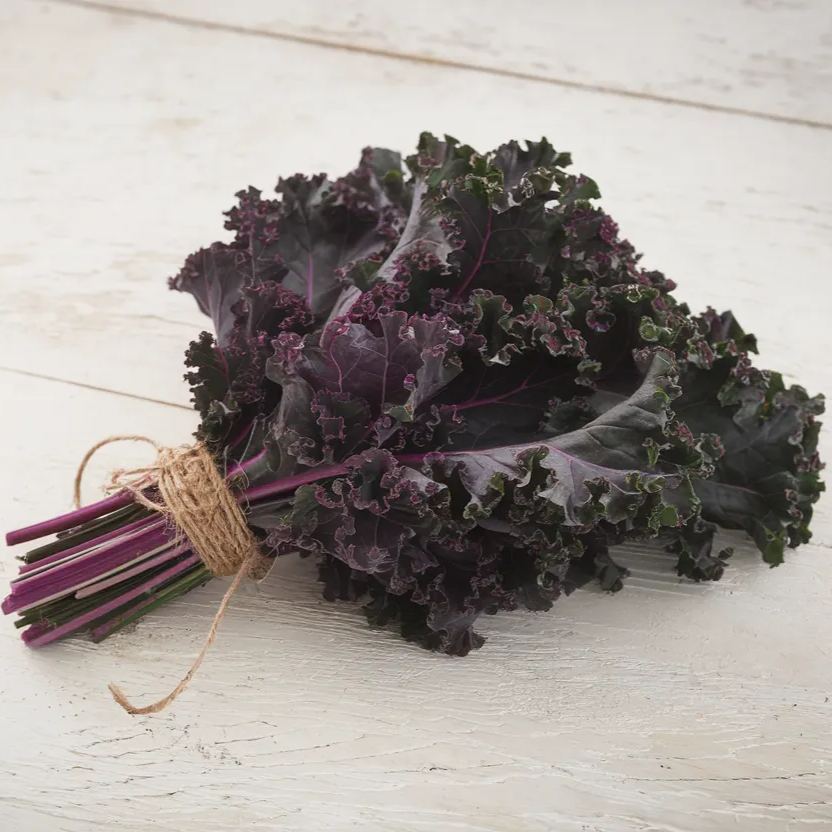 Organic Frisé Rouge kale seeds, ideal for growing nutritious, leafy greens
