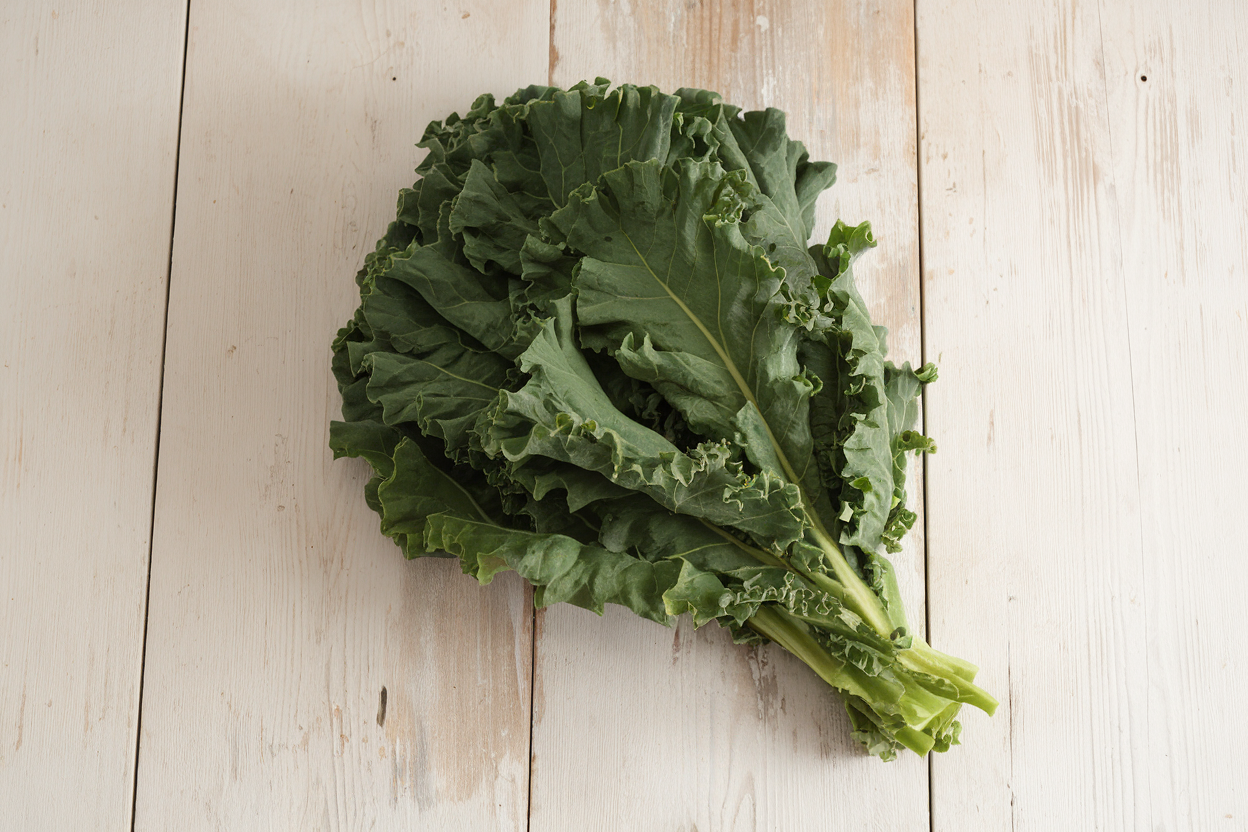 Organic White Russian kale seeds, perfect for enhancing garden soil quality and health