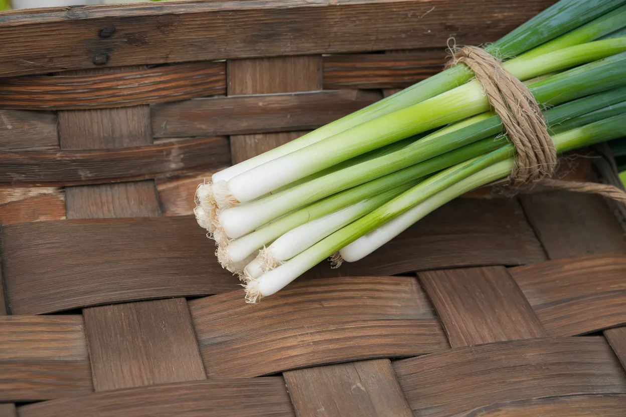 High-quality organic onion seeds, perfect for home gardens and healthy meals