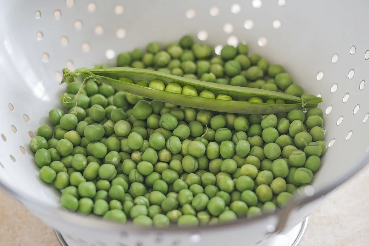 High-quality organic PLS 595 pea seeds, ideal for sustainable gardening and healthy crop growth