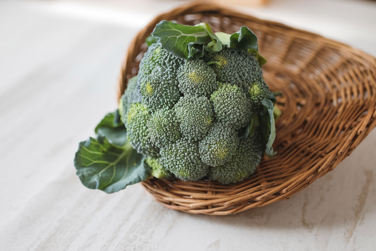 Organic Kariba broccoli seeds, perfect for home garden enthusiasts seeking robust and healthy greens