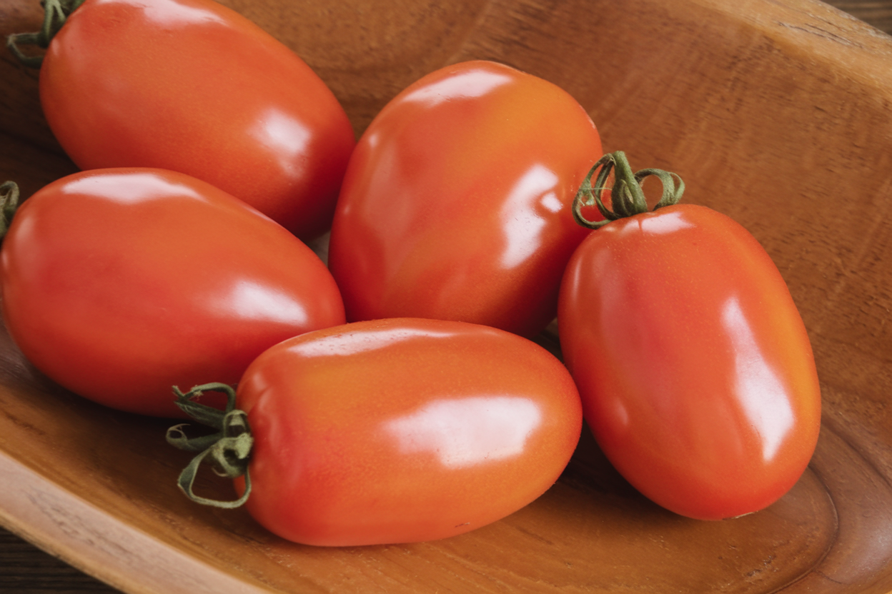 Organic Amish Paste tomato seeds, ideal for growing robust, flavorful tomatoes at home