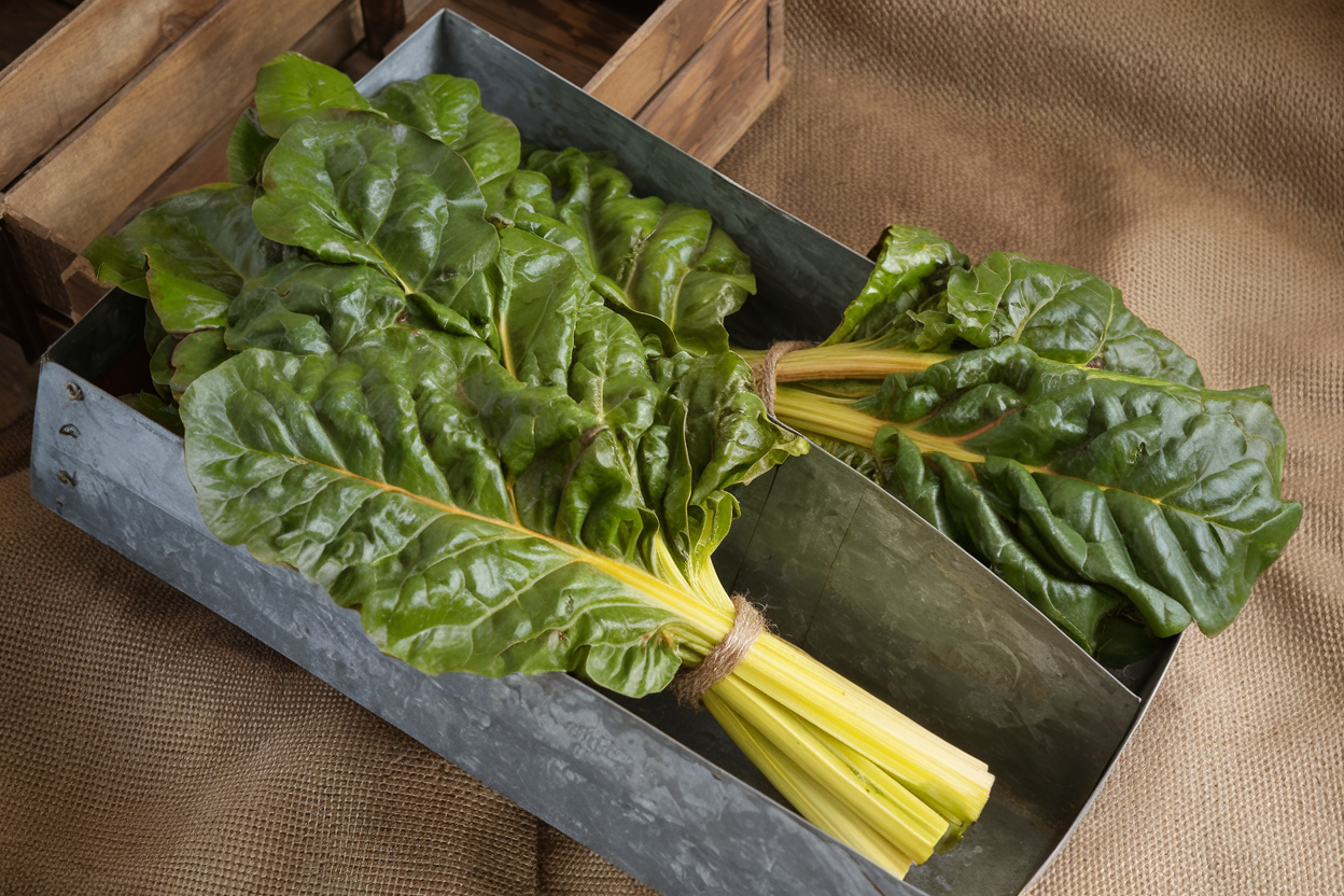 Organic Swiss chard seeds producing vibrant yellow leaves, ideal for nutritious home gardening