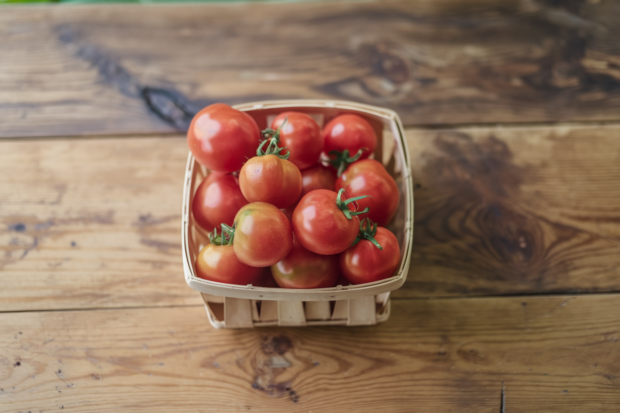 Queen Bee - Organic (F1) Tomato Seed