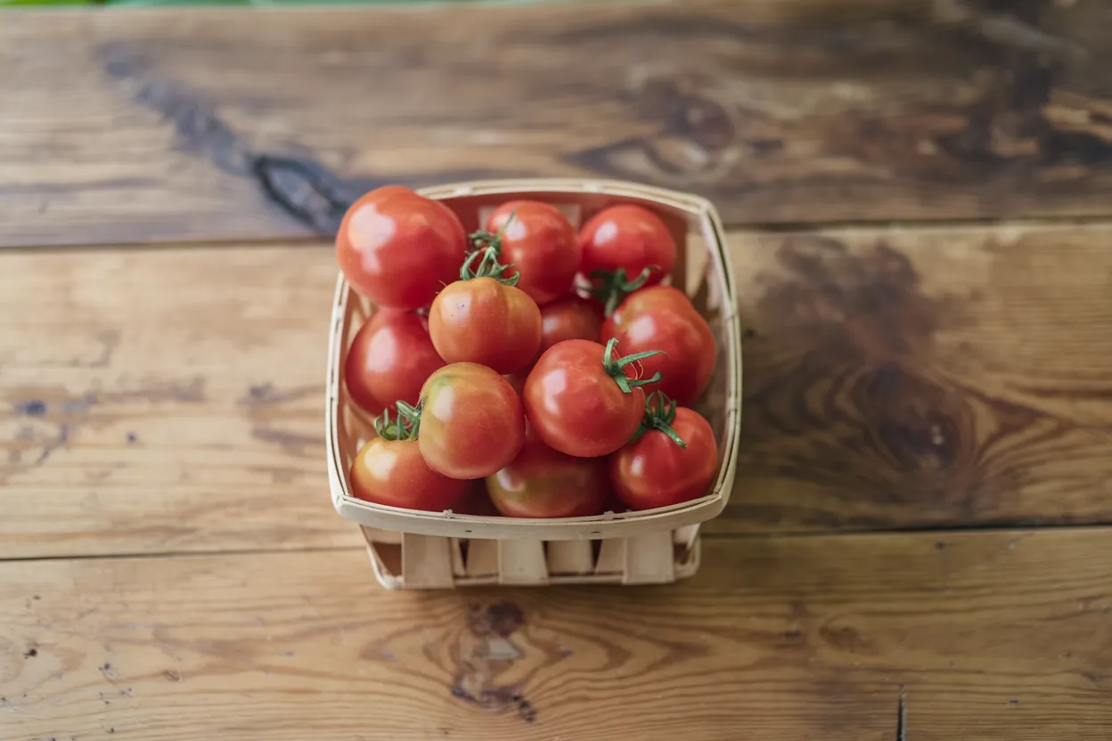 Queen Bee - Organic (F1) Tomato Seed