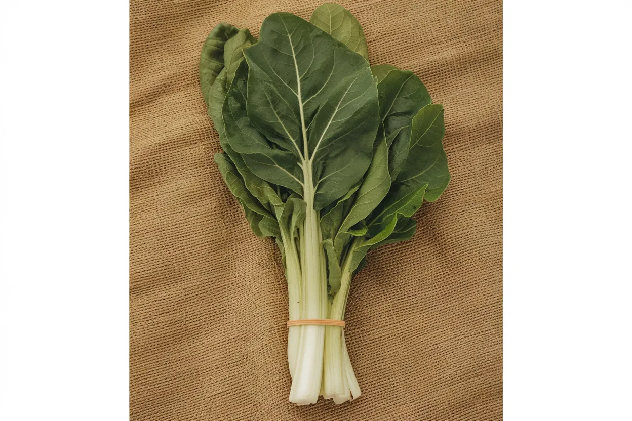 Organic Swiss Chard Seeds perfect for growing healthy, vitamin-rich greens in your garden