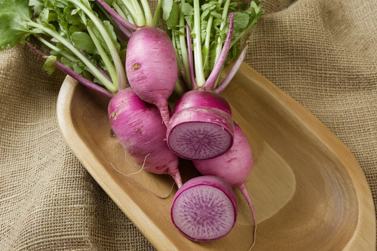 High-quality organic F1 radish seeds, ideal for enhancing garden soil health and yield