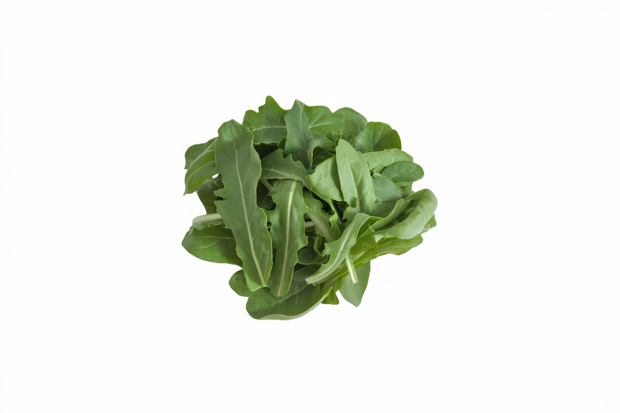 Organic Deer Tongue lettuce seeds, ideal for growing fresh, nutritious salads at home