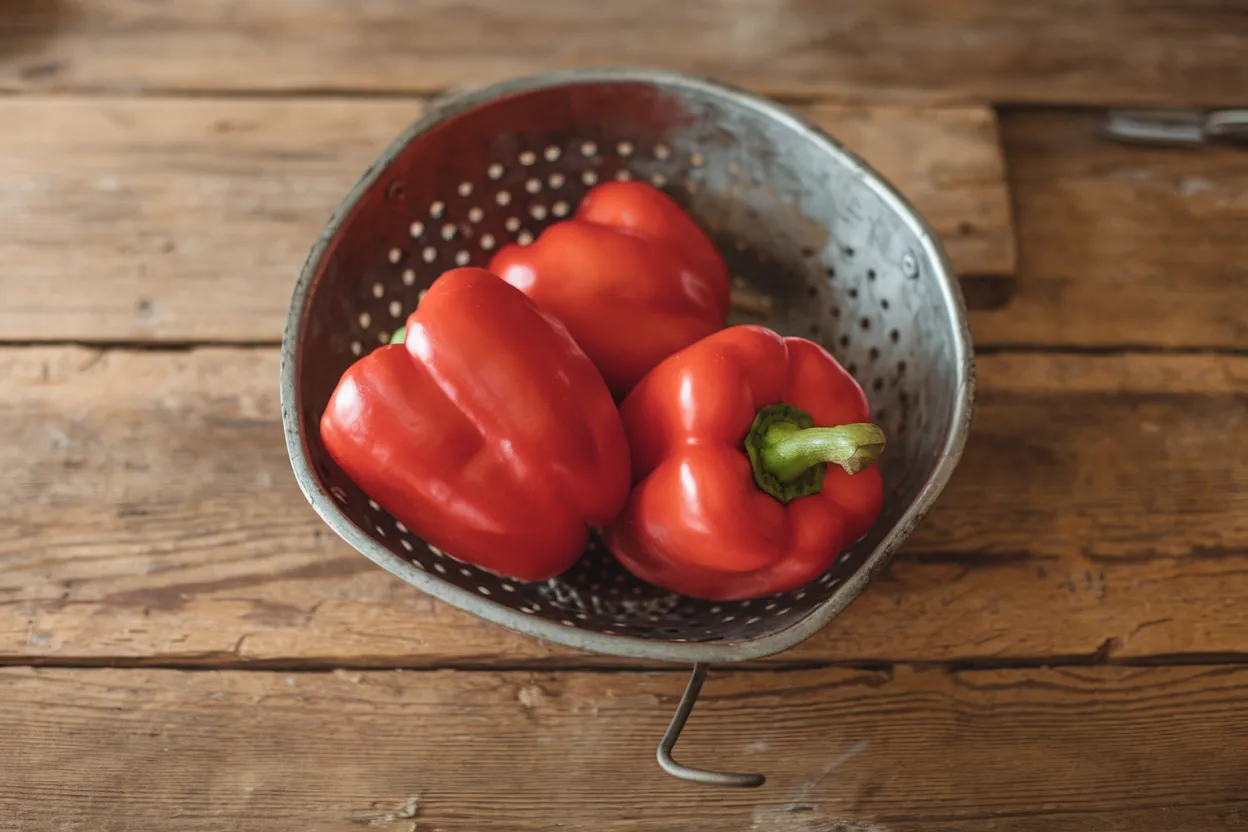 Organic F1 bell pepper seeds by Olly, perfect for eco-friendly gardening and robust crops