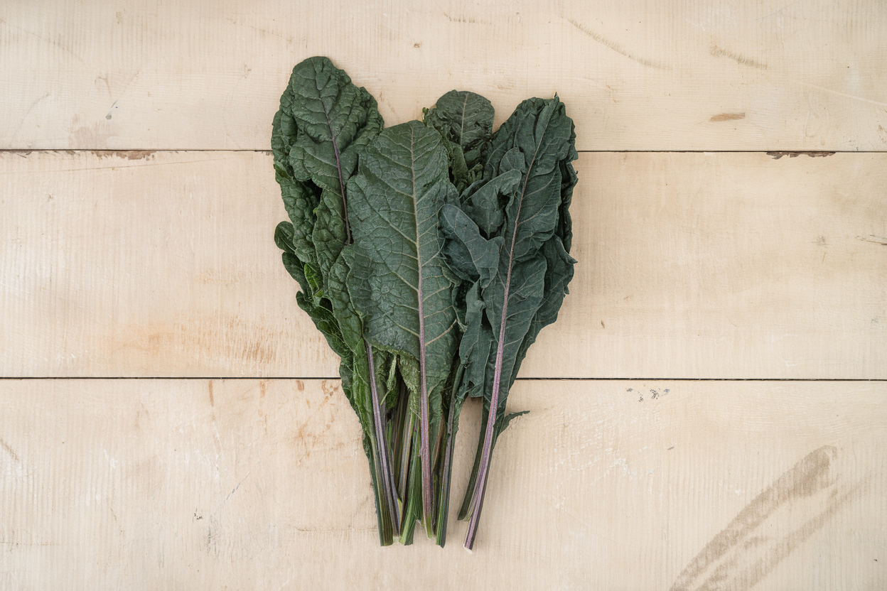Organic Dazzling Blue Kale Seed, perfect for nutritious salads and dishes