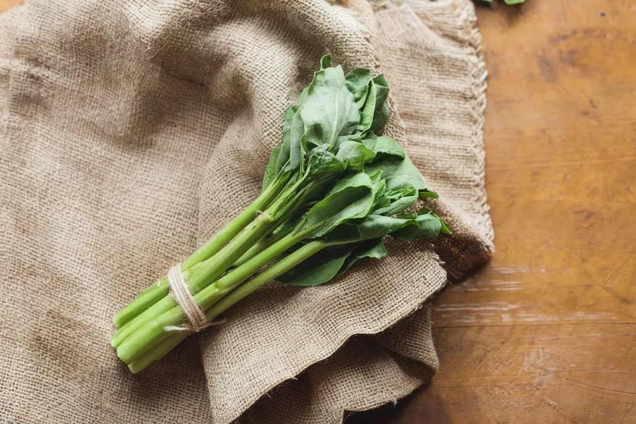 Organic F1 Broccoli Seed from Melody, perfect for enhancing garden vitality and green living