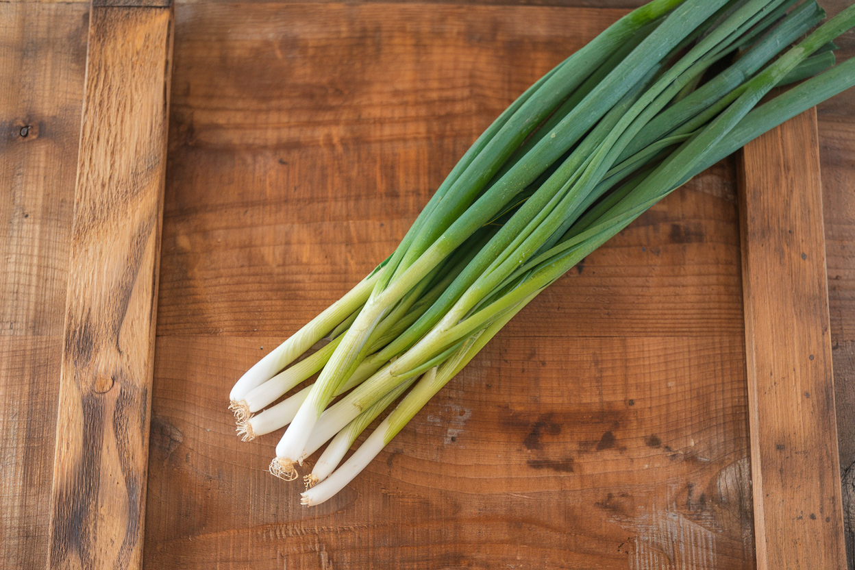 Organic Marksman onion seeds, perfect for enhancing garden health and self-sustaining food sources