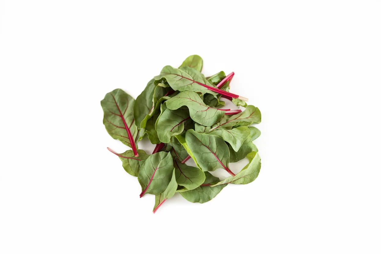 Organic Swiss Chard Seeds, perfect for enhancing garden vitality and soil quality