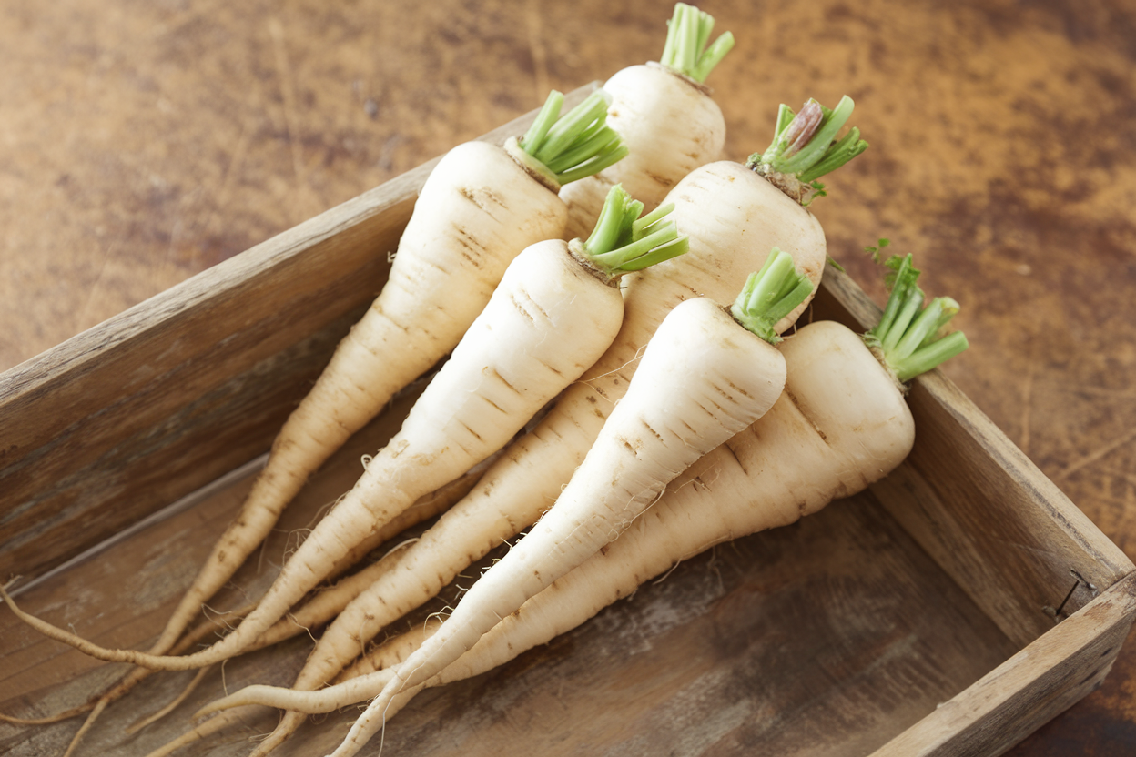Organic Albion parsnip seeds, perfect for enhancing soil quality and health in eco-friendly gardening