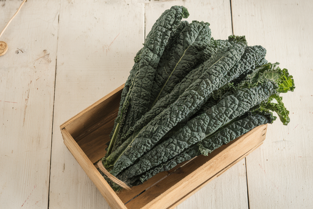 Organic Black Magic Kale Seed, perfect for boosting garden vitality and health