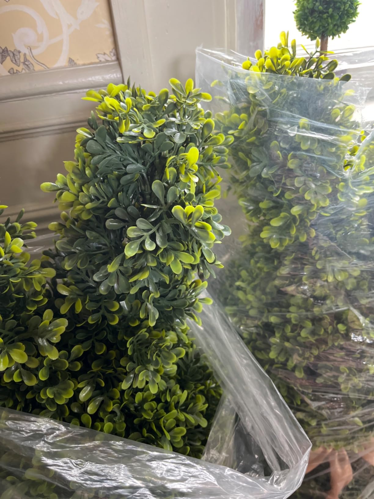 Somewhat disappointed