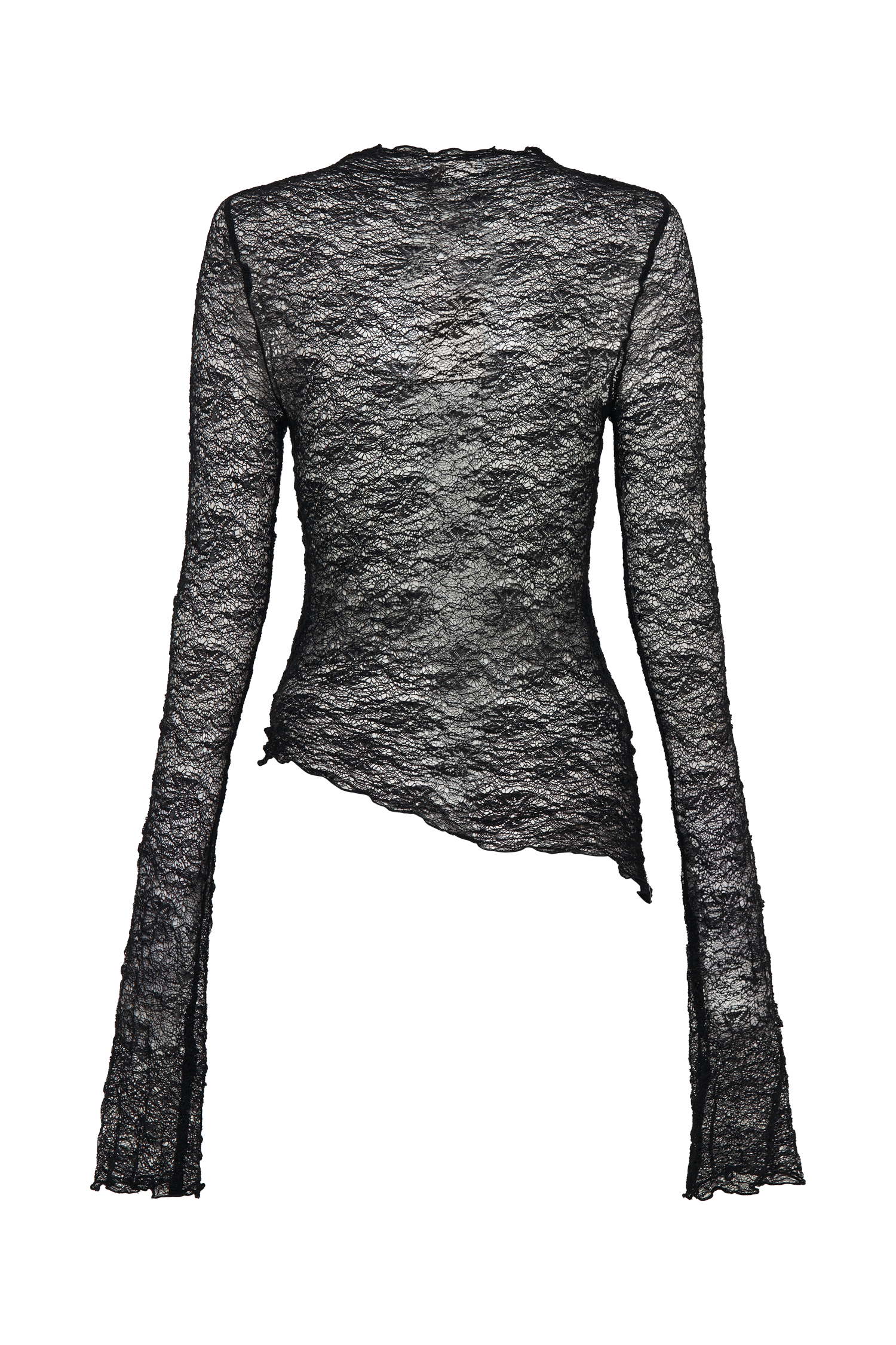 Riley Sheer Lace Long Sleeve Top - Black-My Chic Way.All Rights Reserved