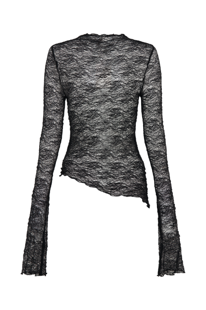 Riley Sheer Lace Long Sleeve Top - Black-My Chic Way.All Rights Reserved