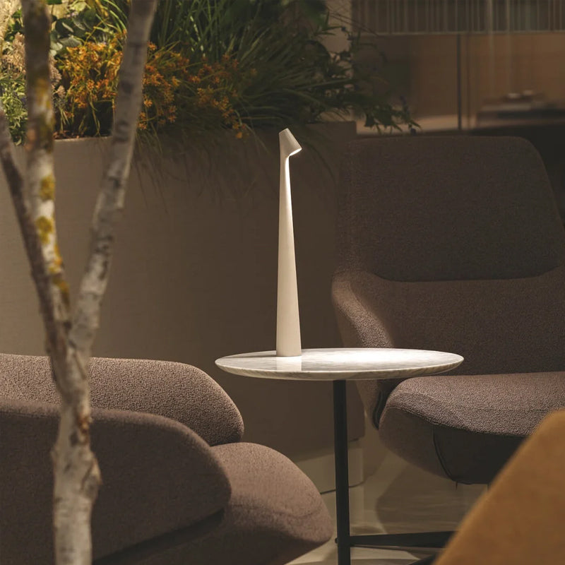 LuminaElegance Portable Table Lamp