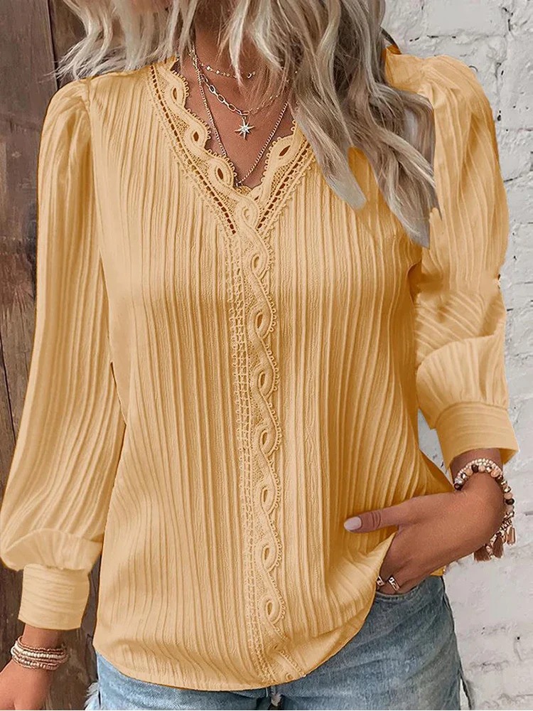 Elegant V Neckline Blouse