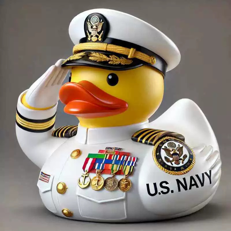 🦆 Veteran Memorial Duck, a unique and interesting decorative item.