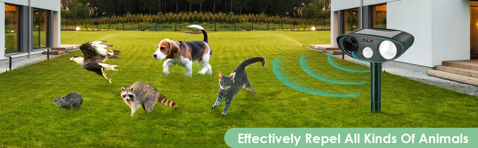 solar animal repeller