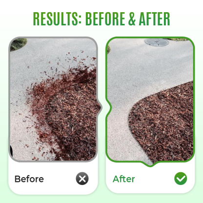 ⏳Time-limited Special⏰Quick-Drying Sticky Landscape Adhesive