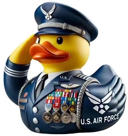 🦆 Veteran Memorial Duck, a unique and interesting decorative item.